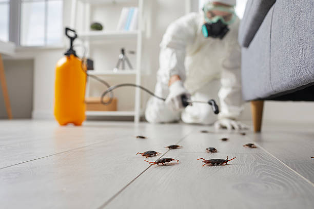Trusted Cockroach Control service in Nixon, PA - Nex Pest Control