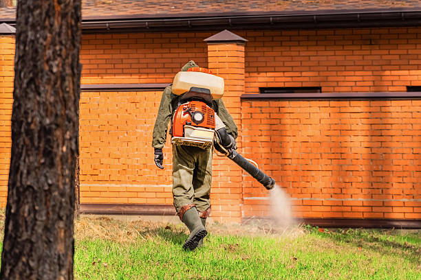 Trusted Mosquito Control service in Nixon, PA - Nex Pest Control